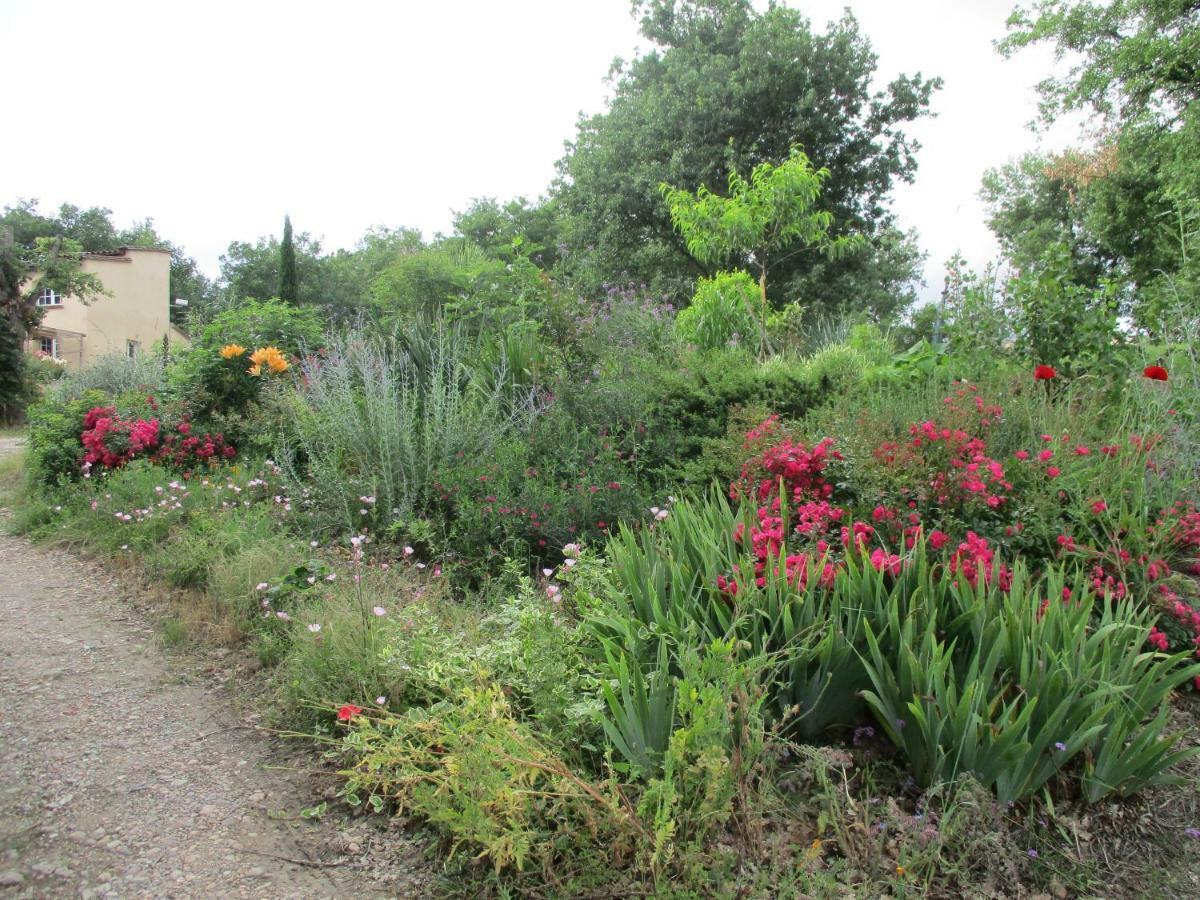 Bienvenue Dans Notre Petit Paradis Apartman Pelleport Kültér fotó